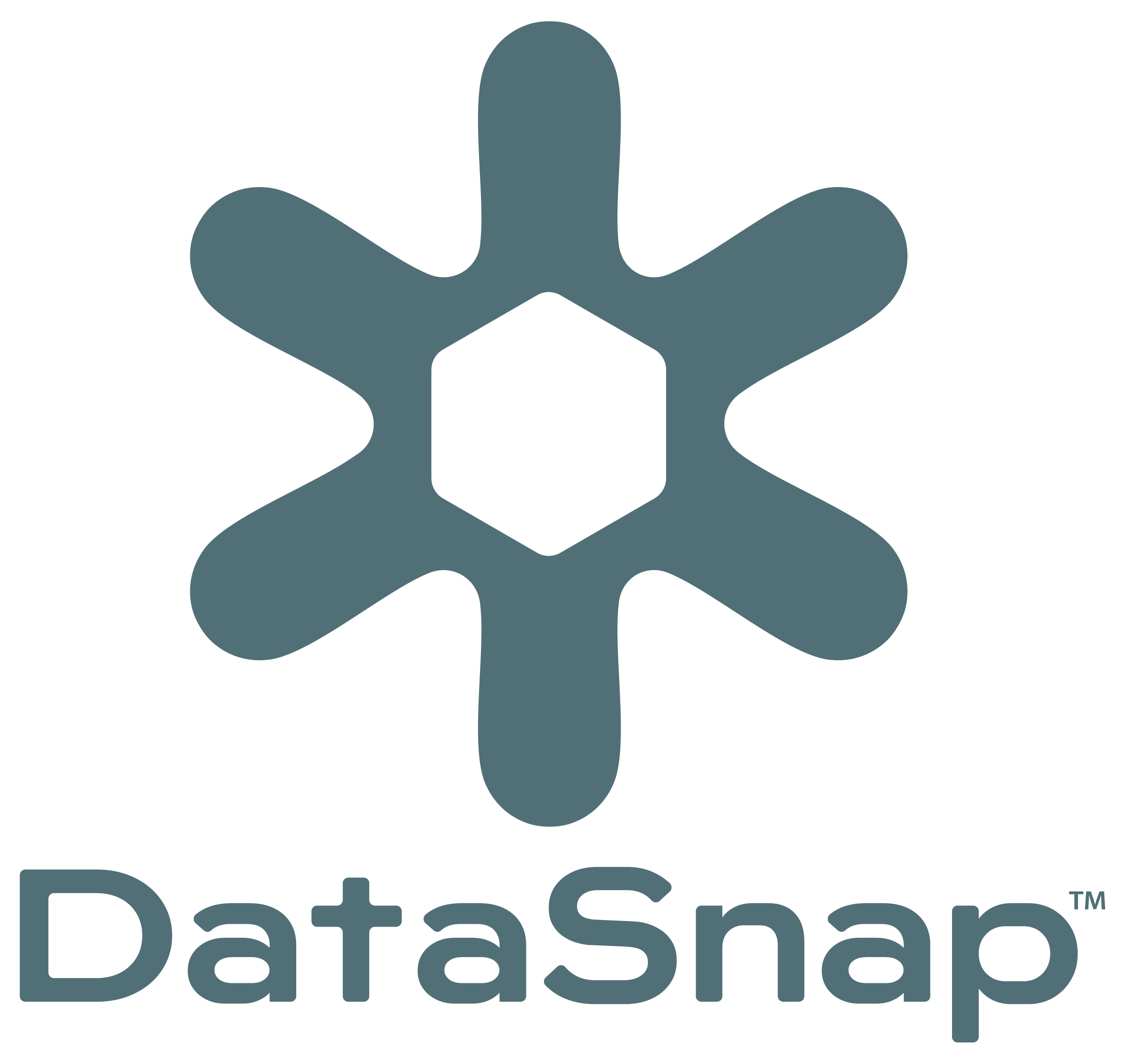 1074139-01 DataSnap Primary Logo (1)